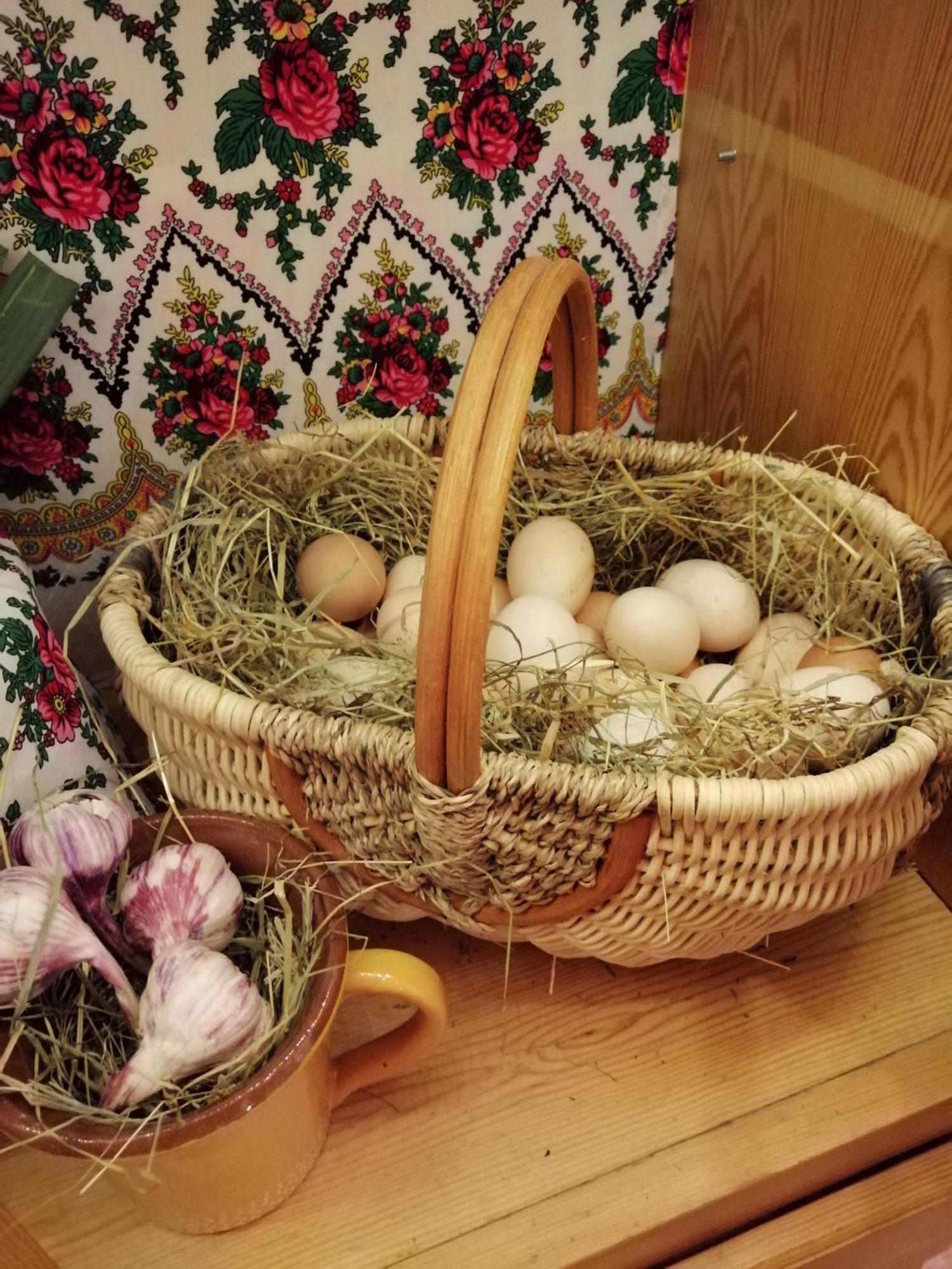 Apartamenty Kierpcowka كوشتيليسكا المظهر الخارجي الصورة
